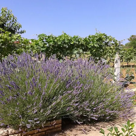 With Parking Space - 18532 Apartamento Vir